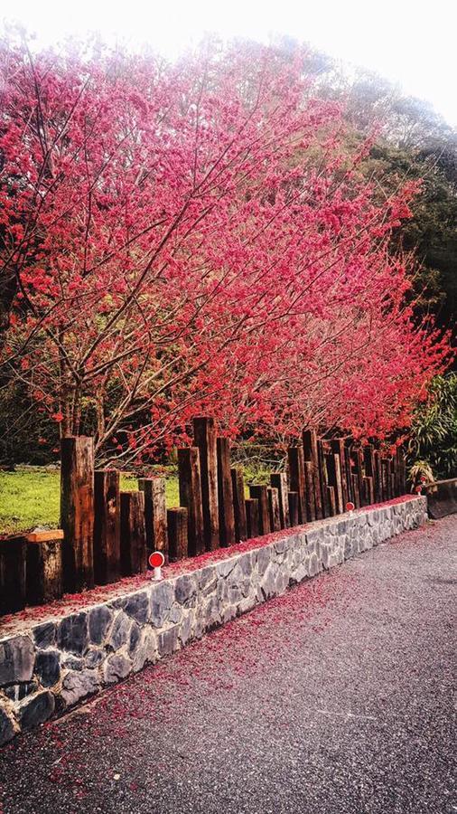 Taroko Formosa Homestay Xiulin Eksteriør bilde