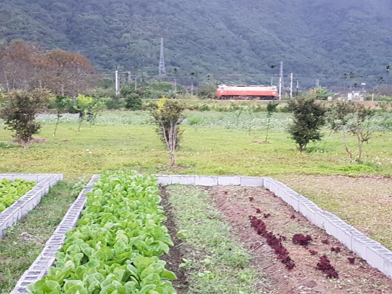 Taroko Formosa Homestay Xiulin Eksteriør bilde